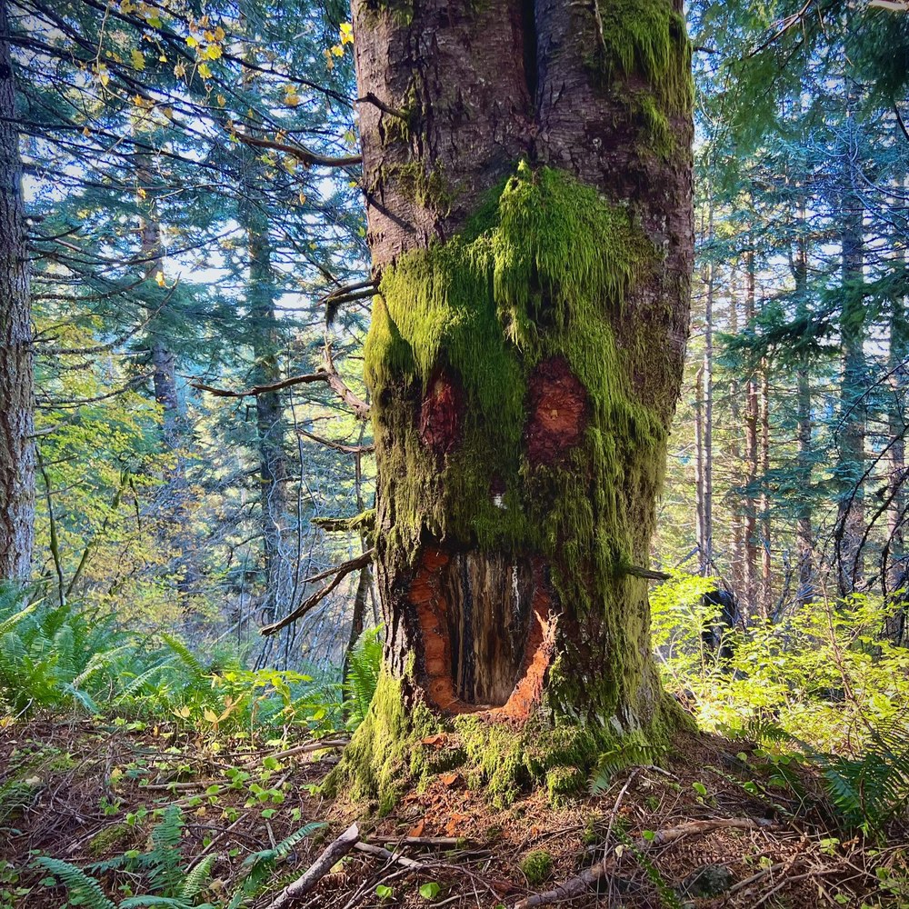 Meet your Posher, ニコラス